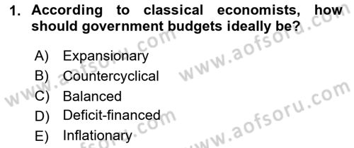 Public Finance Dersi 2025 - 2026 Yılı (Vize) Ara Sınav Soruları 1. Soru