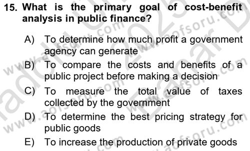 Public Finance Dersi 2025 - 2026 Yılı (Vize) Ara Sınav Soruları 15. Soru