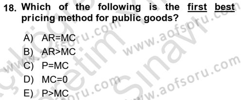 Public Finance Dersi 2025 - 2026 Yılı (Vize) Ara Sınav Soruları 18. Soru