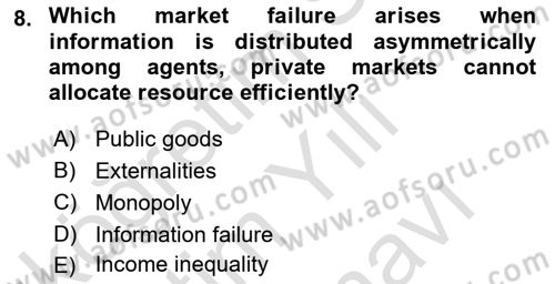 Public Finance Dersi 2025 - 2026 Yılı (Vize) Ara Sınav Soruları 8. Soru