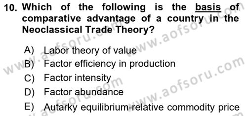 International Economics 1 Dersi 2024 - 2025 Yılı (Vize) Ara Sınav Soruları 10. Soru