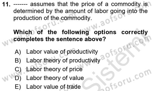 International Economics 1 Dersi 2024 - 2025 Yılı (Vize) Ara Sınav Soruları 11. Soru