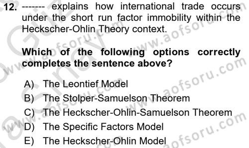 International Economics 1 Dersi 2024 - 2025 Yılı (Vize) Ara Sınav Soruları 12. Soru