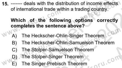 International Economics 1 Dersi 2024 - 2025 Yılı (Vize) Ara Sınav Soruları 15. Soru