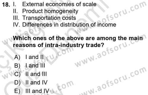 International Economics 1 Dersi 2024 - 2025 Yılı (Vize) Ara Sınav Soruları 18. Soru