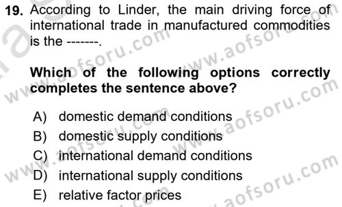 International Economics 1 Dersi 2024 - 2025 Yılı (Vize) Ara Sınav Soruları 19. Soru