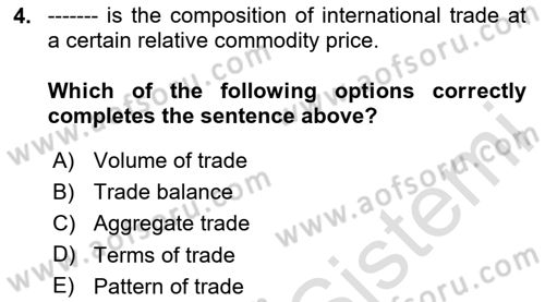 International Economics 1 Dersi 2024 - 2025 Yılı (Vize) Ara Sınav Soruları 4. Soru