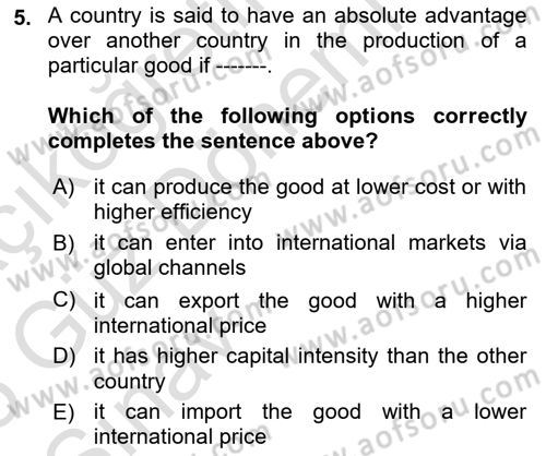 International Economics 1 Dersi 2024 - 2025 Yılı (Vize) Ara Sınav Soruları 5. Soru