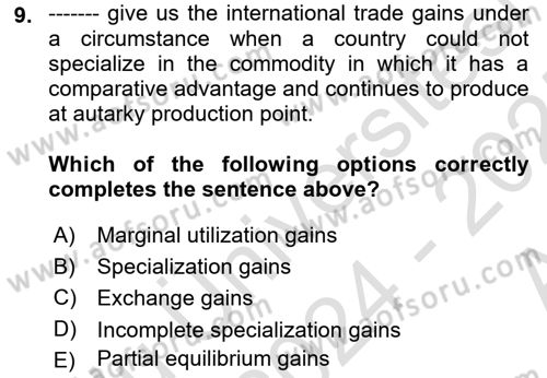 International Economics 1 Dersi 2024 - 2025 Yılı (Vize) Ara Sınav Soruları 9. Soru