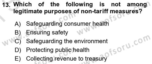 International Economics 1 Dersi 2024 - 2025 Yılı (Final) Dönem Sonu Sınav Soruları 13. Soru