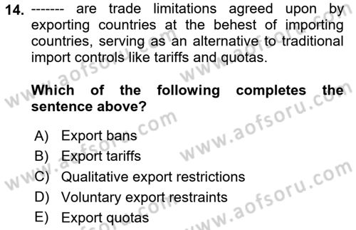International Economics 1 Dersi 2024 - 2025 Yılı (Final) Dönem Sonu Sınav Soruları 14. Soru