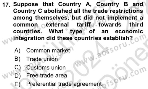 International Economics 1 Dersi 2024 - 2025 Yılı (Final) Dönem Sonu Sınav Soruları 17. Soru