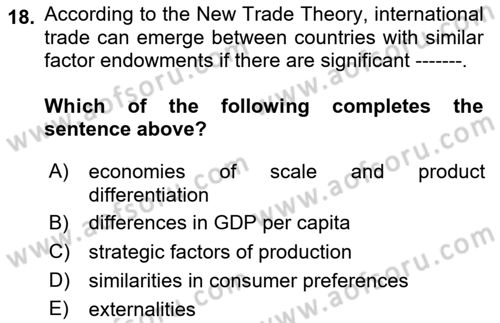 International Economics 1 Dersi 2024 - 2025 Yılı (Final) Dönem Sonu Sınav Soruları 18. Soru