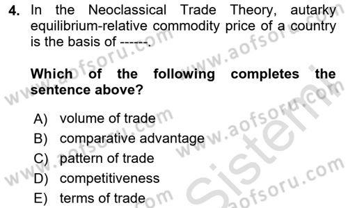International Economics 1 Dersi 2024 - 2025 Yılı (Final) Dönem Sonu Sınav Soruları 4. Soru