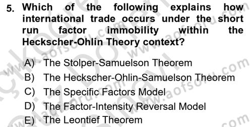 International Economics 1 Dersi 2024 - 2025 Yılı (Final) Dönem Sonu Sınav Soruları 5. Soru