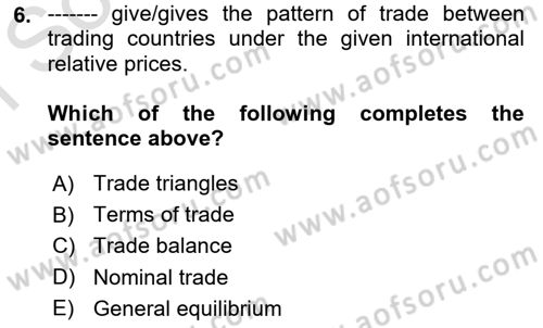 International Economics 1 Dersi 2024 - 2025 Yılı (Final) Dönem Sonu Sınav Soruları 6. Soru