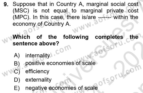 International Economics 1 Dersi 2024 - 2025 Yılı (Final) Dönem Sonu Sınav Soruları 9. Soru