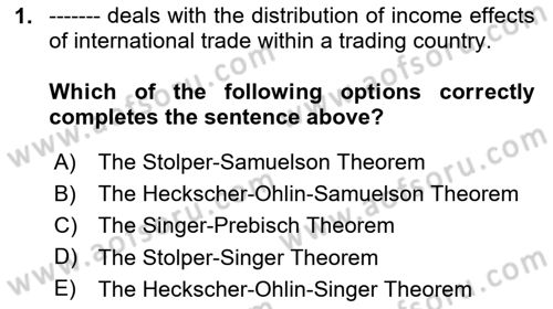 International Economics 1 Dersi 2024 - 2025 Yılı Yaz Okulu Sınav Soruları 1. Soru
