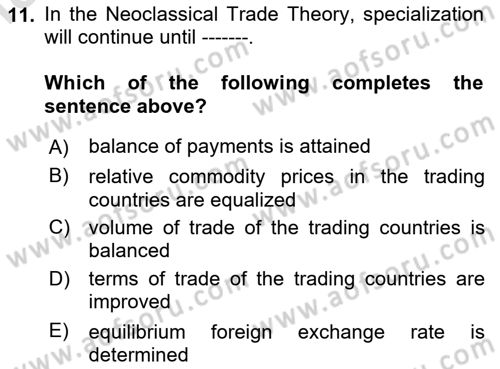 International Economics 1 Dersi 2024 - 2025 Yılı Yaz Okulu Sınav Soruları 11. Soru