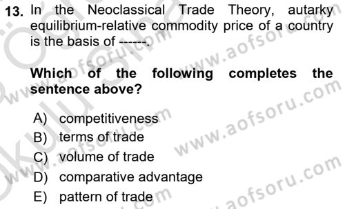 International Economics 1 Dersi 2024 - 2025 Yılı Yaz Okulu Sınav Soruları 13. Soru