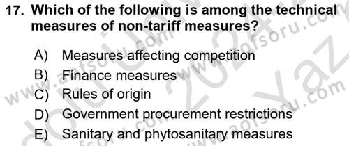International Economics 1 Dersi 2024 - 2025 Yılı Yaz Okulu Sınav Soruları 17. Soru