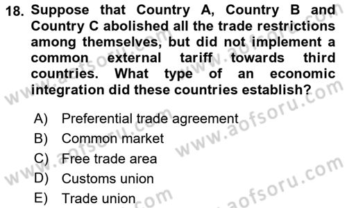 International Economics 1 Dersi 2024 - 2025 Yılı Yaz Okulu Sınav Soruları 18. Soru