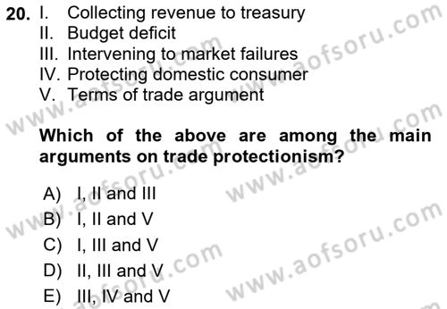 International Economics 1 Dersi 2024 - 2025 Yılı Yaz Okulu Sınav Soruları 20. Soru