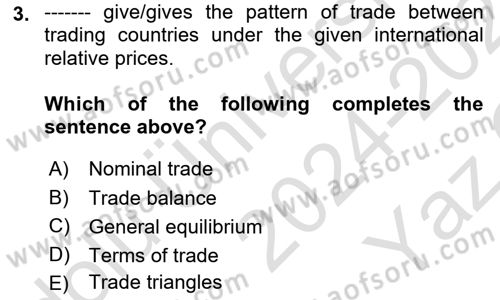 International Economics 1 Dersi 2024 - 2025 Yılı Yaz Okulu Sınav Soruları 3. Soru