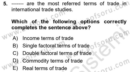 International Economics 1 Dersi 2024 - 2025 Yılı Yaz Okulu Sınav Soruları 5. Soru