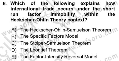 International Economics 1 Dersi 2024 - 2025 Yılı Yaz Okulu Sınav Soruları 6. Soru