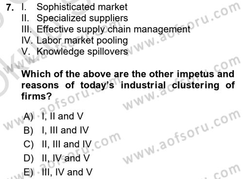 International Economics 1 Dersi 2024 - 2025 Yılı Yaz Okulu Sınav Soruları 7. Soru