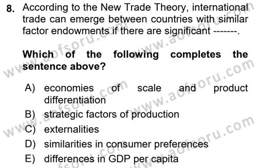 International Economics 1 Dersi 2024 - 2025 Yılı Yaz Okulu Sınav Soruları 8. Soru