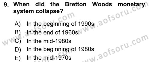 International Economics 1 Dersi 2024 - 2025 Yılı Yaz Okulu Sınav Soruları 9. Soru