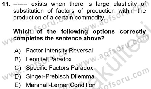 International Economics 1 Dersi 2025 - 2026 Yılı (Vize) Ara Sınav Soruları 11. Soru