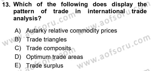 International Economics 1 Dersi 2025 - 2026 Yılı (Vize) Ara Sınav Soruları 13. Soru