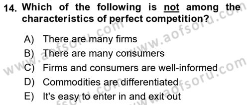 International Economics 1 Dersi 2025 - 2026 Yılı (Vize) Ara Sınav Soruları 14. Soru