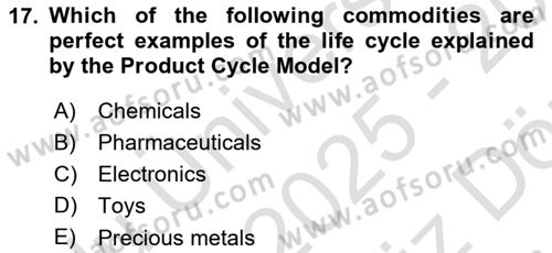 International Economics 1 Dersi 2025 - 2026 Yılı (Vize) Ara Sınav Soruları 17. Soru