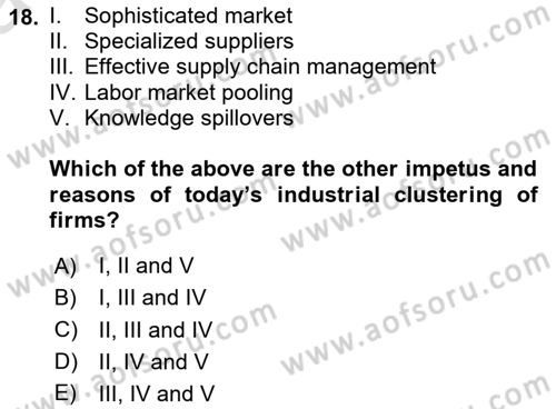International Economics 1 Dersi 2025 - 2026 Yılı (Vize) Ara Sınav Soruları 18. Soru
