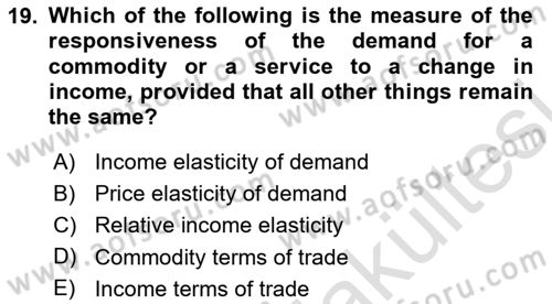 International Economics 1 Dersi 2025 - 2026 Yılı (Vize) Ara Sınav Soruları 19. Soru