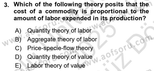 International Economics 1 Dersi 2025 - 2026 Yılı (Vize) Ara Sınav Soruları 3. Soru
