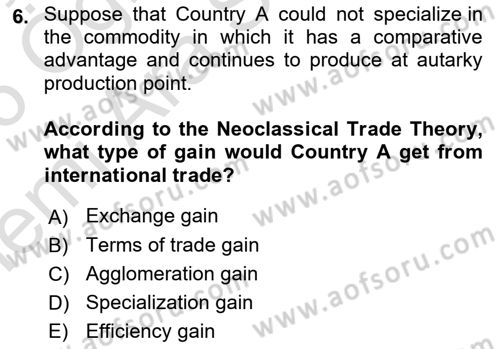 International Economics 1 Dersi 2025 - 2026 Yılı (Vize) Ara Sınav Soruları 6. Soru
