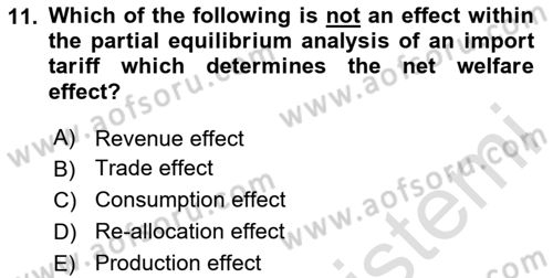 International Economics 1 Dersi 2025 - 2026 Yılı (Final) Dönem Sonu Sınav Soruları 11. Soru