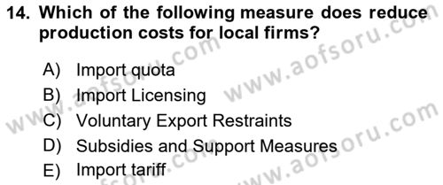 International Economics 1 Dersi 2025 - 2026 Yılı (Final) Dönem Sonu Sınav Soruları 14. Soru