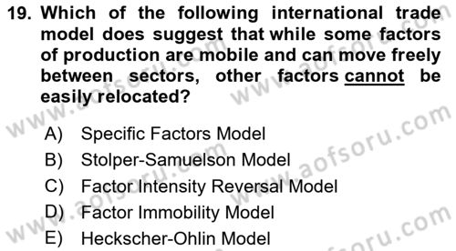International Economics 1 Dersi 2025 - 2026 Yılı (Final) Dönem Sonu Sınav Soruları 19. Soru