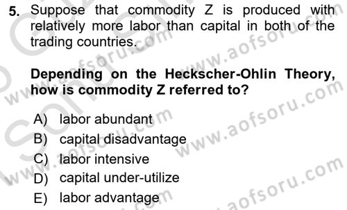 International Economics 1 Dersi 2025 - 2026 Yılı (Final) Dönem Sonu Sınav Soruları 5. Soru