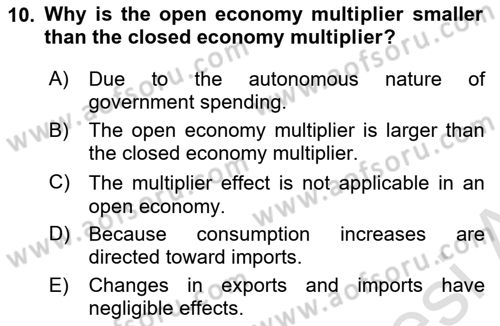 International Economics 2 Dersi 2023 - 2024 Yılı (Vize) Ara Sınav Soruları 10. Soru