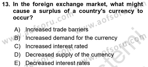 International Economics 2 Dersi 2023 - 2024 Yılı (Vize) Ara Sınav Soruları 13. Soru