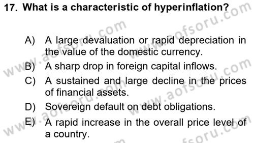 International Economics 2 Dersi 2023 - 2024 Yılı (Vize) Ara Sınav Soruları 17. Soru