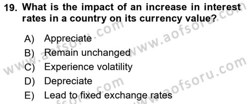 International Economics 2 Dersi 2023 - 2024 Yılı (Vize) Ara Sınav Soruları 19. Soru