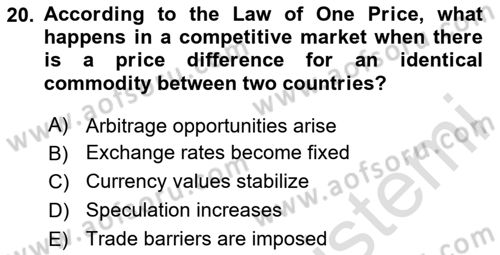 International Economics 2 Dersi 2023 - 2024 Yılı (Vize) Ara Sınav Soruları 20. Soru